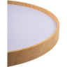 Светильник JAZZWAY PPB PINE 60w 4000K IP20 D485x75 5052666